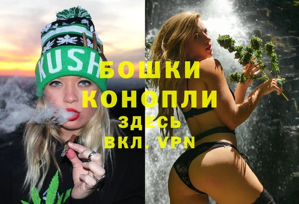 дурь Алексеевка